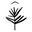 Pax Mare Beachwear logo